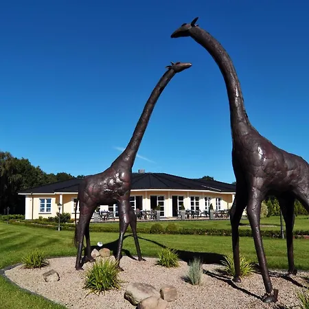 African Sky 4* Werlte